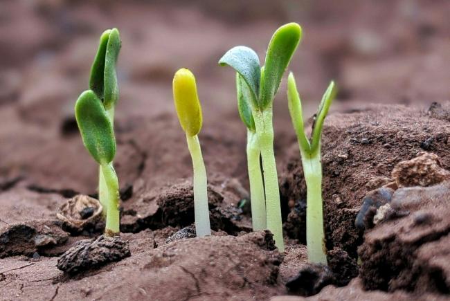 Schaalbare software: klaar voor groei zonder groeipijn